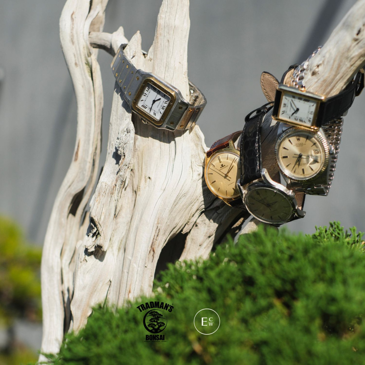 OLD MOUNTAIN TRADMAN BOTANIZE3本セット TRADMAN'S BONSAIが渋谷PARCO