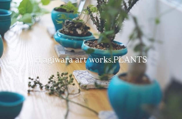 Hagiwara art works.がオーストラリアの植物と青い植木鉢展2026を開催