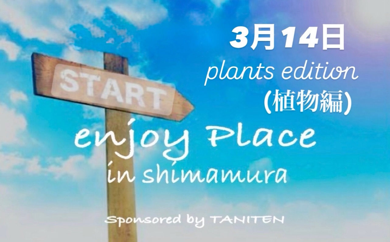 と*け様 新タランチュラ Page & Plant In Japan 6CD+1 JWDA コンクリートランプ |繊細なガラスと生コンクリートの照明