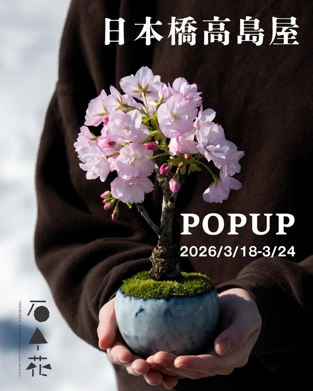 日本の花木 スピラエア(シモツケ) チェリーリップス | 株式会社ハクサン｜花や植物
