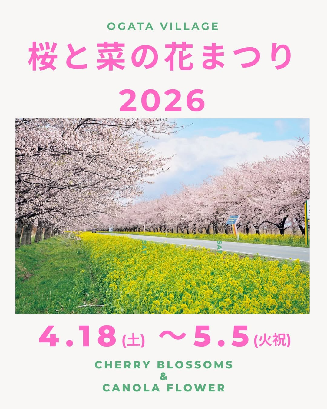 大潟村が桜と菜の花まつり2026を開催、ホテルサンルーラル大潟北側で春