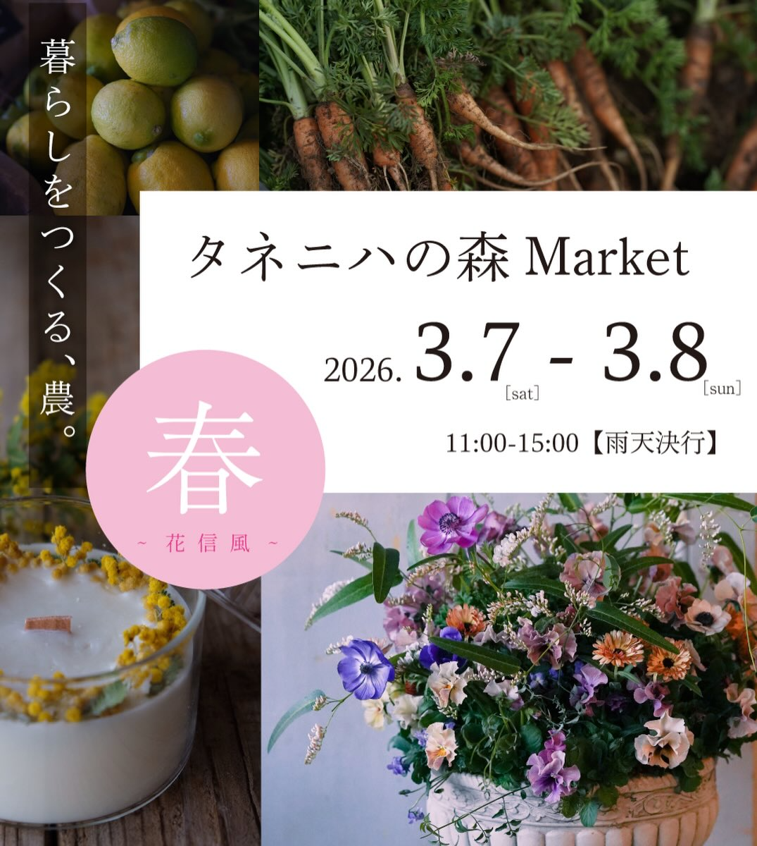 タネニハの森がタネニハの森マーケット2026春花信風を開催、農のある