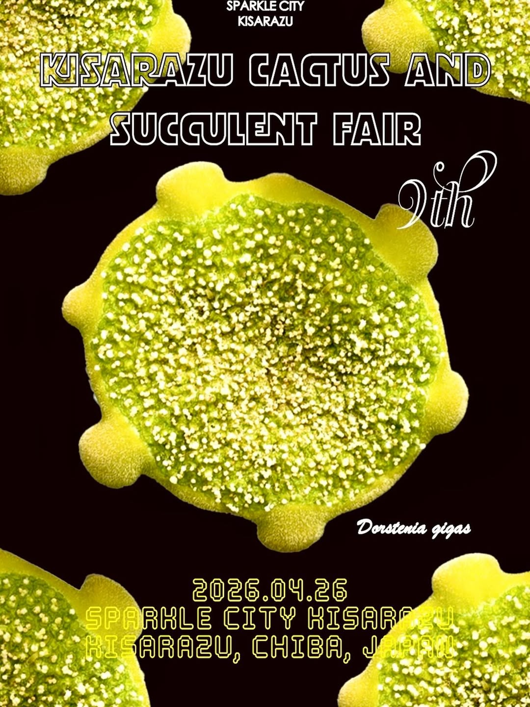 木更津Cactus&Succlentフェア2026が開催、サボテン多肉植物即売会と