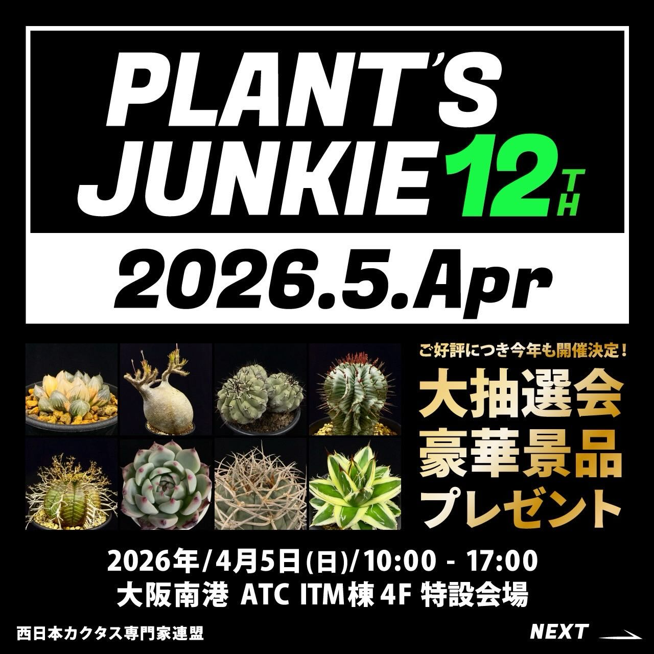 PLANT'S JUNKIE12thが大阪南港ATCで開催、西日本カクタス専門家連盟