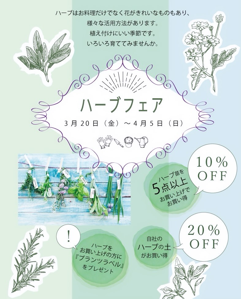 ハーブフェア2026がプロトリーフ二子玉川本店で開催、ハーブ苗の
