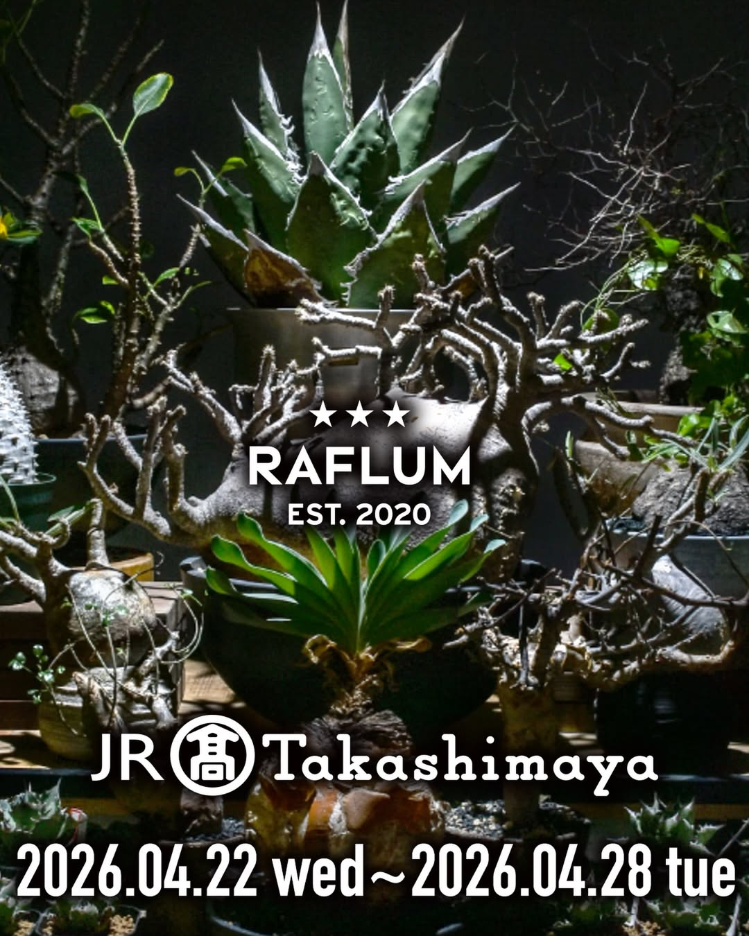 ジェイアール名古屋タカシマヤ×RAFLUM2026がPOP-UPを開催、アガベと