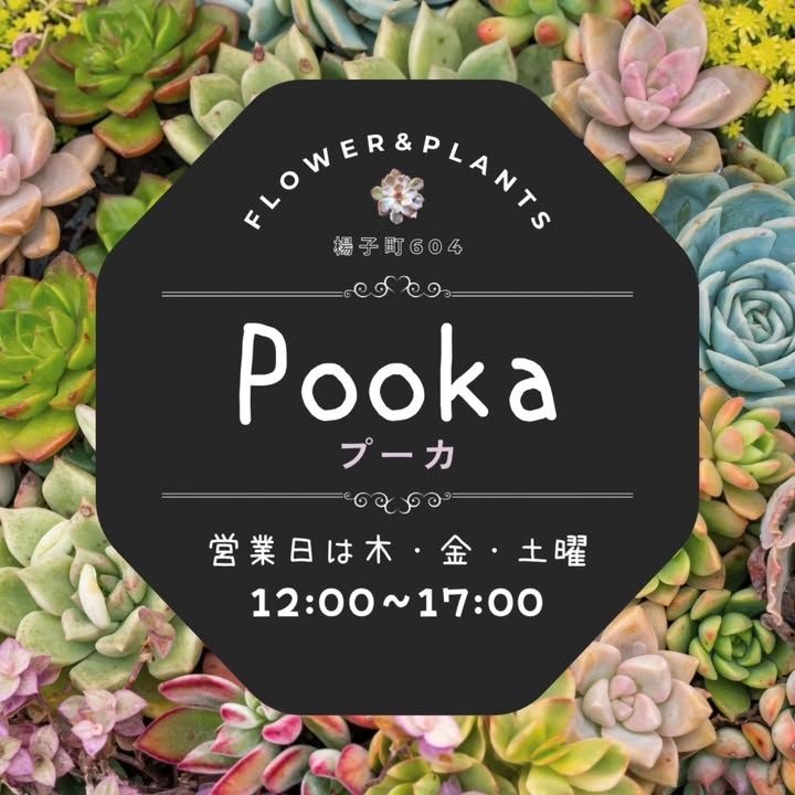 おにわdeしょっぷVol.112026年開催、浜松で植物とハンドメイドとフード