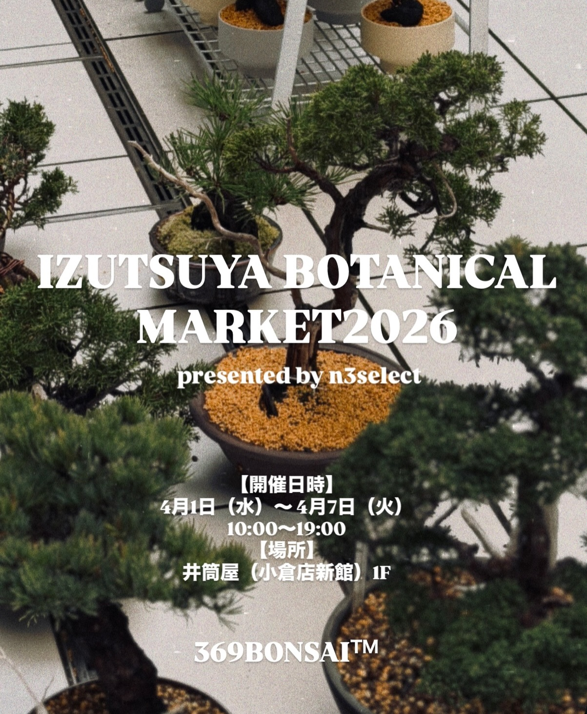 IZUTSUYA BOTANICAL MARKET 2026が小倉井筒屋で開催、盆栽と塊根植物の
