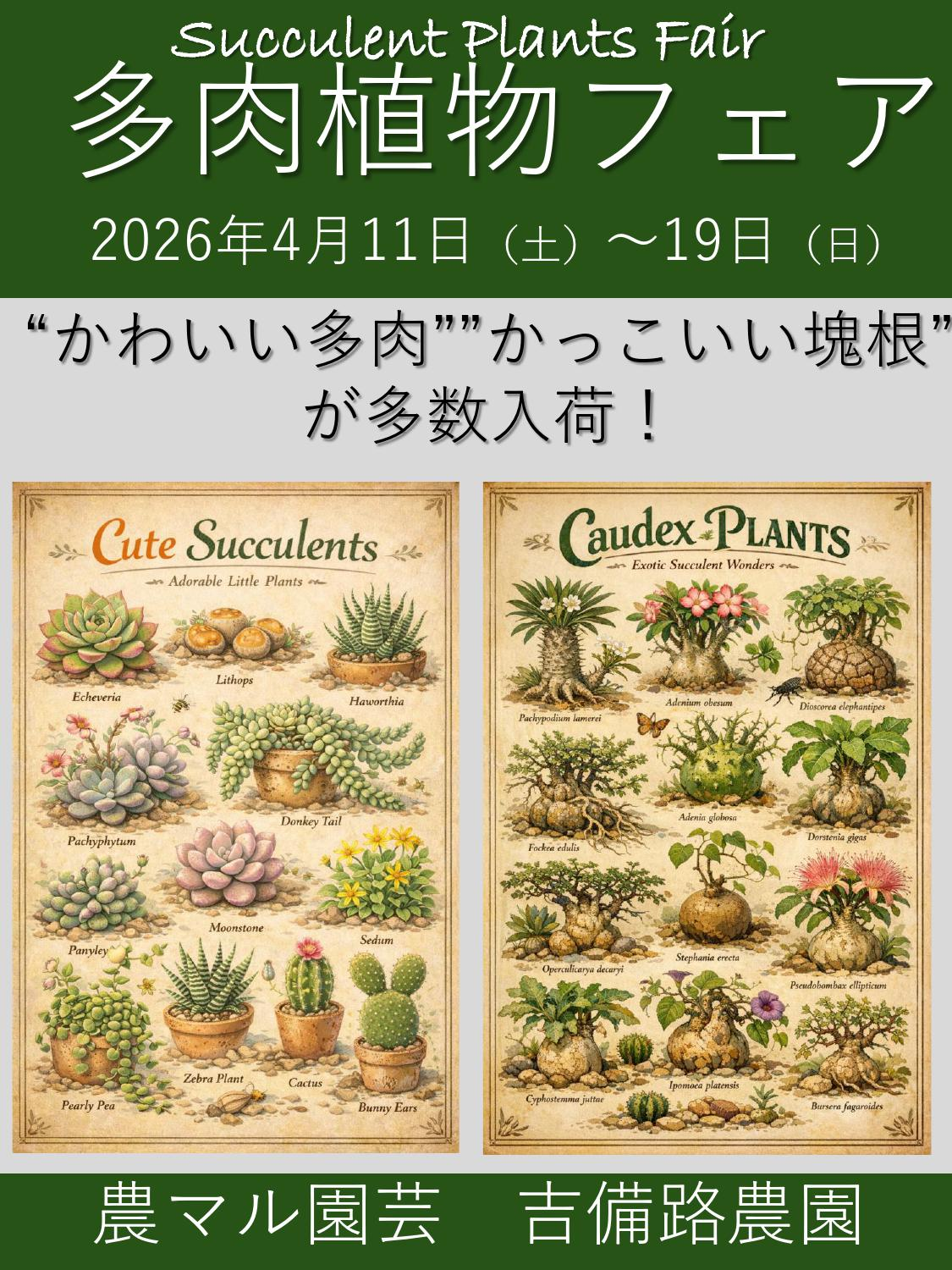 農マル園芸吉備路農園がSucculent Plants Fair多肉植物フェア2026を