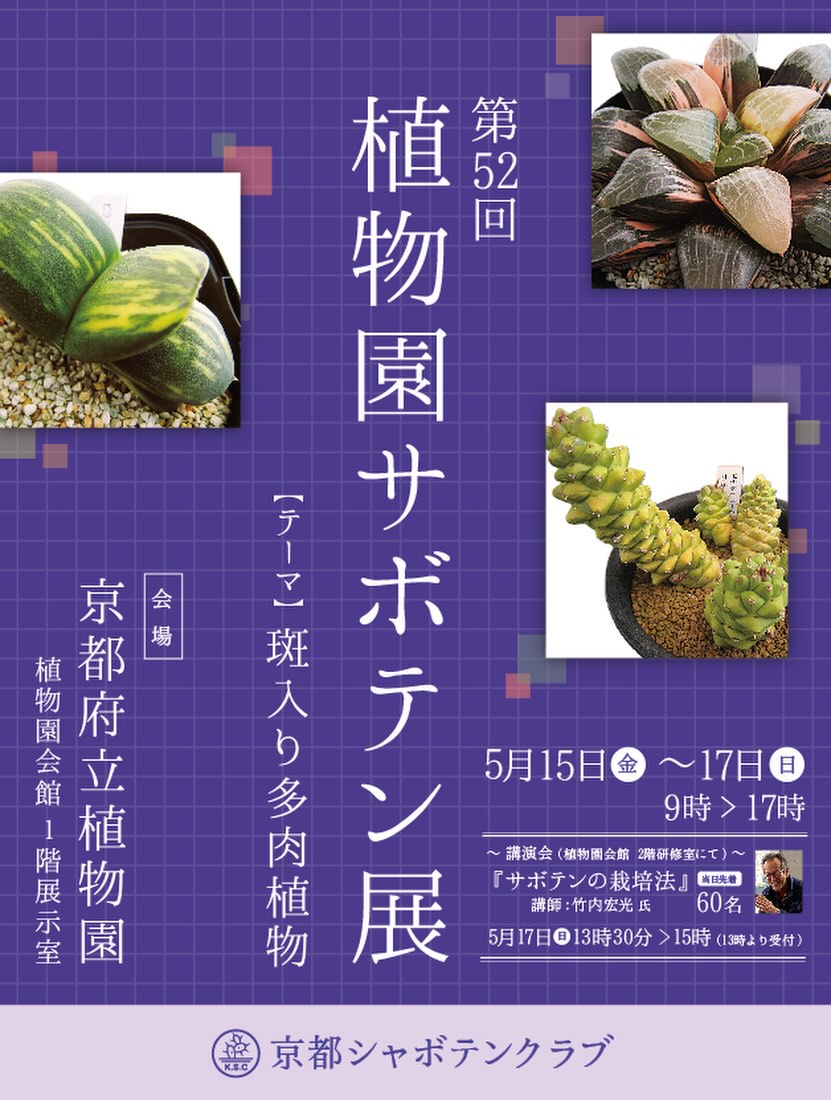 Top【選抜株】多肉植物　22526フレーベル　24個　鉢無し/脱土 プロトリーフ 室内向け観葉・多肉の土 硬質 Premium 3.5L 2袋セット