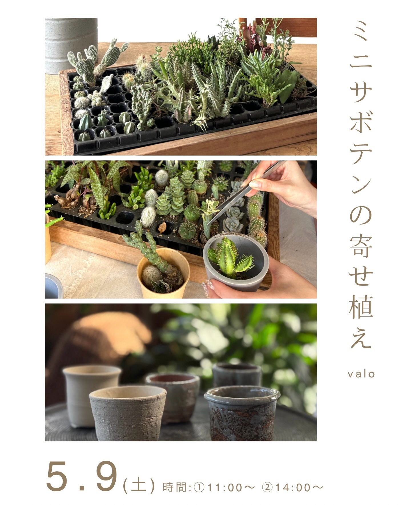 無印良品阪急西宮ガーデンズがミニサボテンの寄せ植えワークショップ