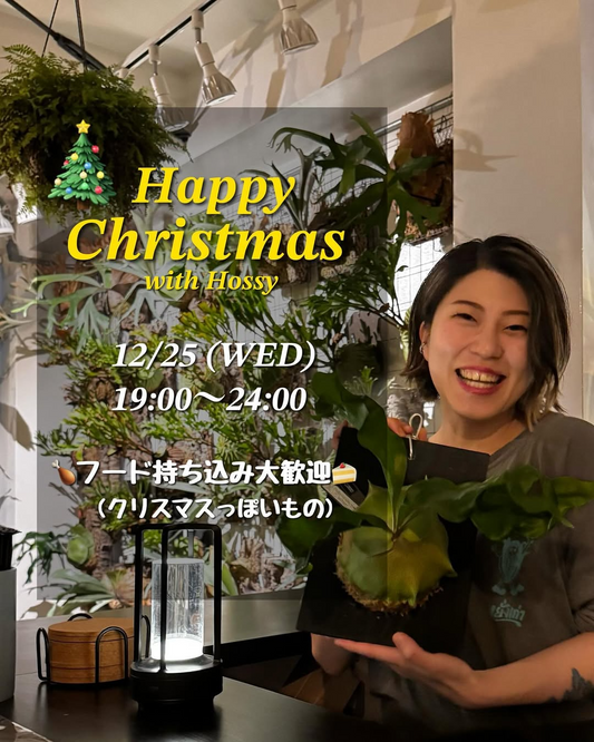 西荻窪のビカクショップがクリスマスほっしーナイトを開催、フード持ち込み可能な特別企画でコミュニティ形成を促進