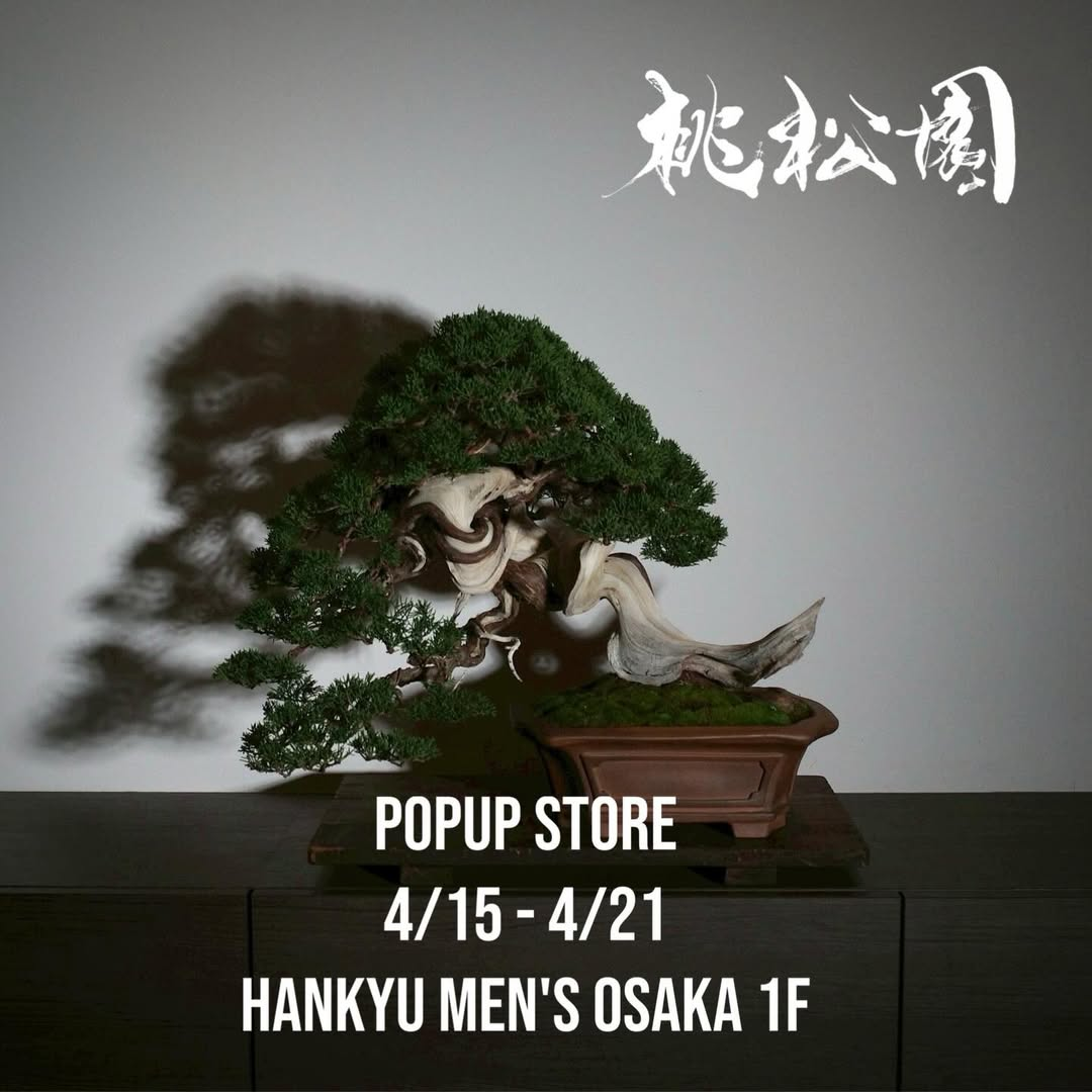桃松園が阪急メンズ大阪でPOP-UP STORE2026を開催、盆栽と森田学コラボ