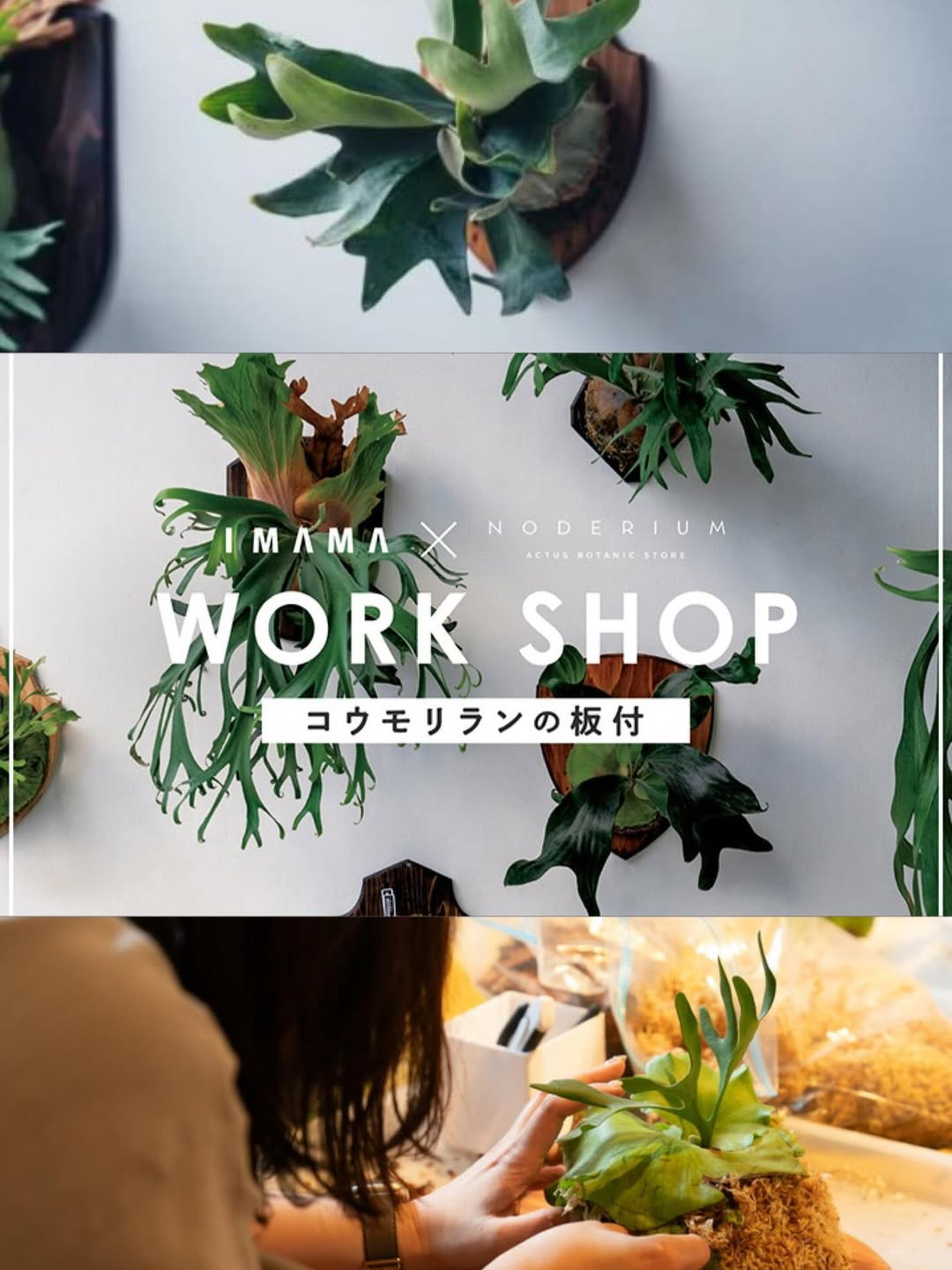 STYLE高崎がNODERIUM × IMAMAのコウモリラン板付けワークショップ2026