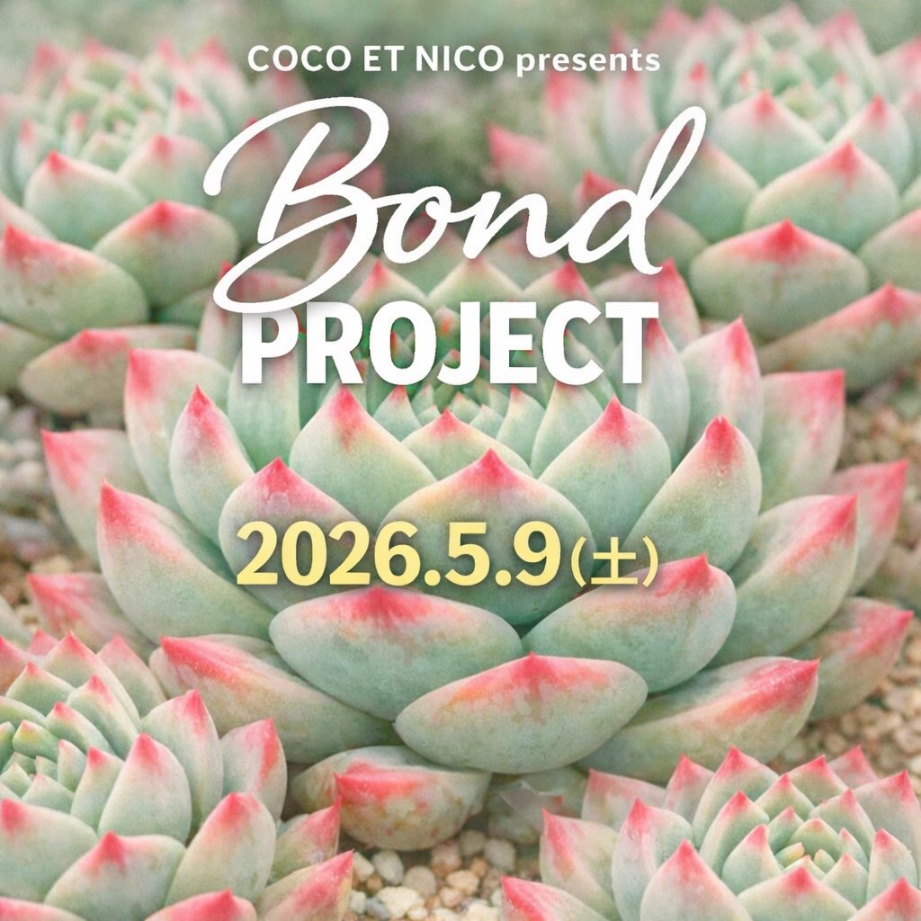 COCO ET NICOがBond PROJECT2026を市原湖畔美術館で開催、多肉植物販売