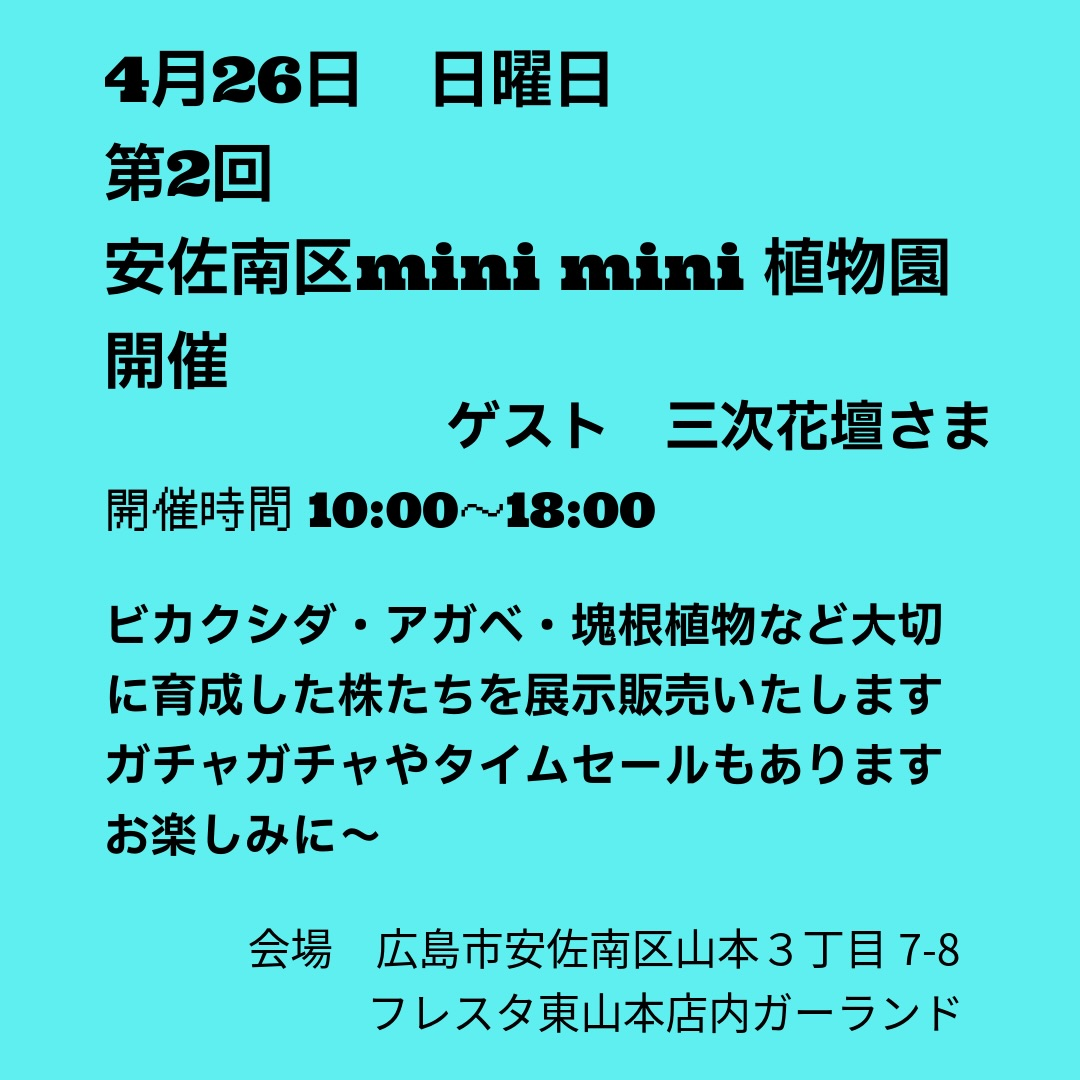 のんたん24時間以内発送予定(植物以外) 野草盆栽 / TD-819（2026年） | カレンダー専門店【暦やドットこむ】