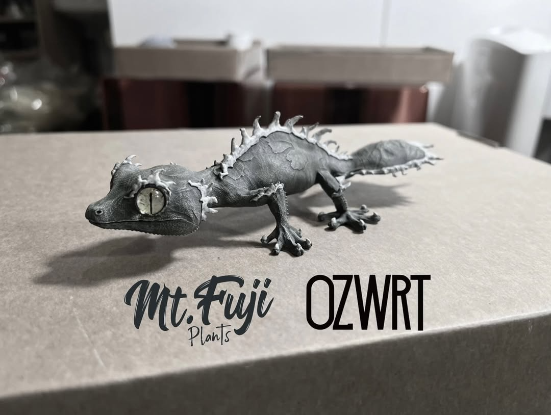 新品未使用】OZWRT コピアポアの精霊 オズワート OZWRT Spirit of 新品未使用】OZWRT コピアポアの精霊 オズワート OZWRT Spirit of