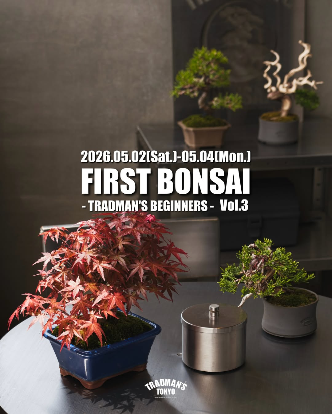 FIRST BONSAI vol3が2026年に丸の内で開催、小品盆栽100鉢以上と