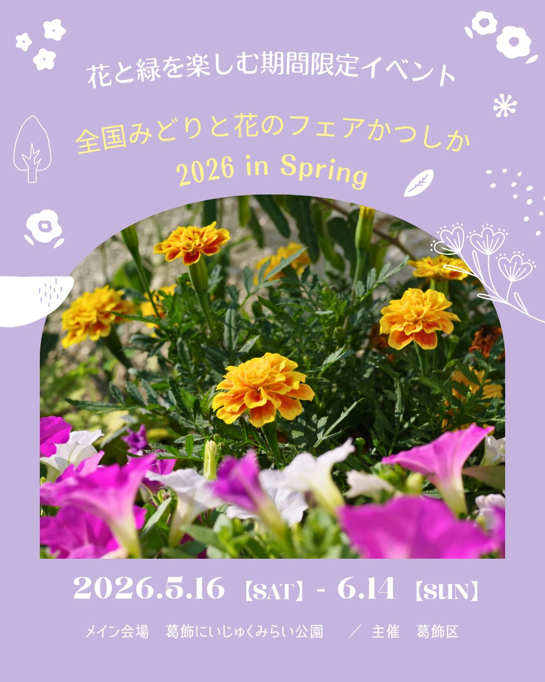 天然、菜の花の強化苗、１００株セット＋プティ粗品＋匿名送料無料、同梱可能です☘ 随時お届け】 母の日の寄せ植えプチギフト【D】先行割引価格！ | 寄せ