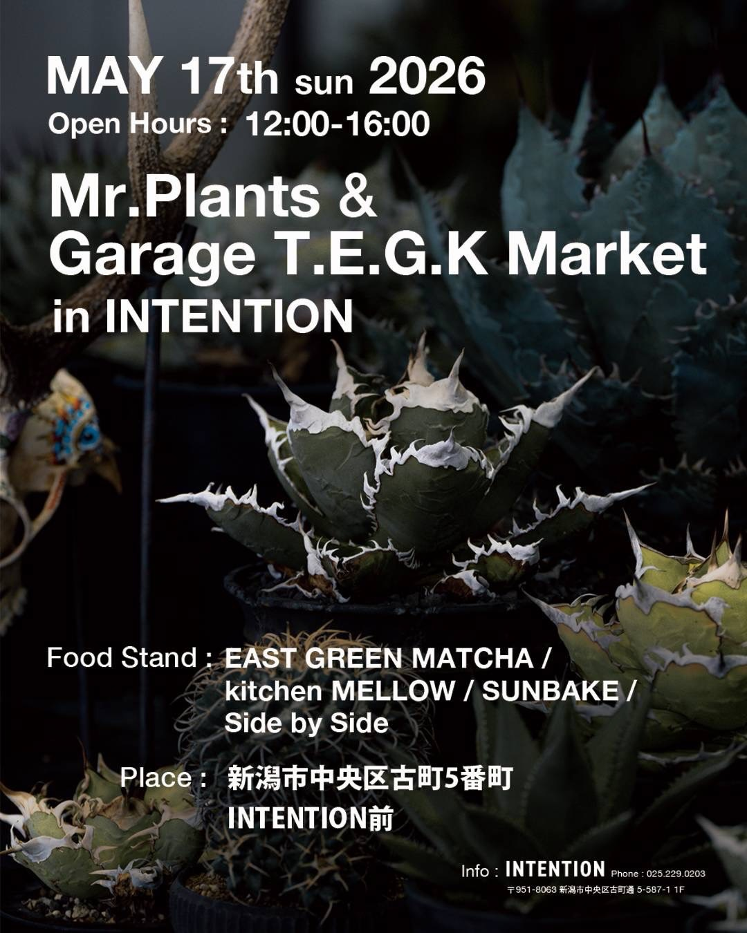 MrPlantsGarageTEGKMarket2026がINTENTION前で開催、アガベ販売と飲食 MrPlantsGarageTEGKMarket2026がINTENTION前で開催、アガベ販売と飲食