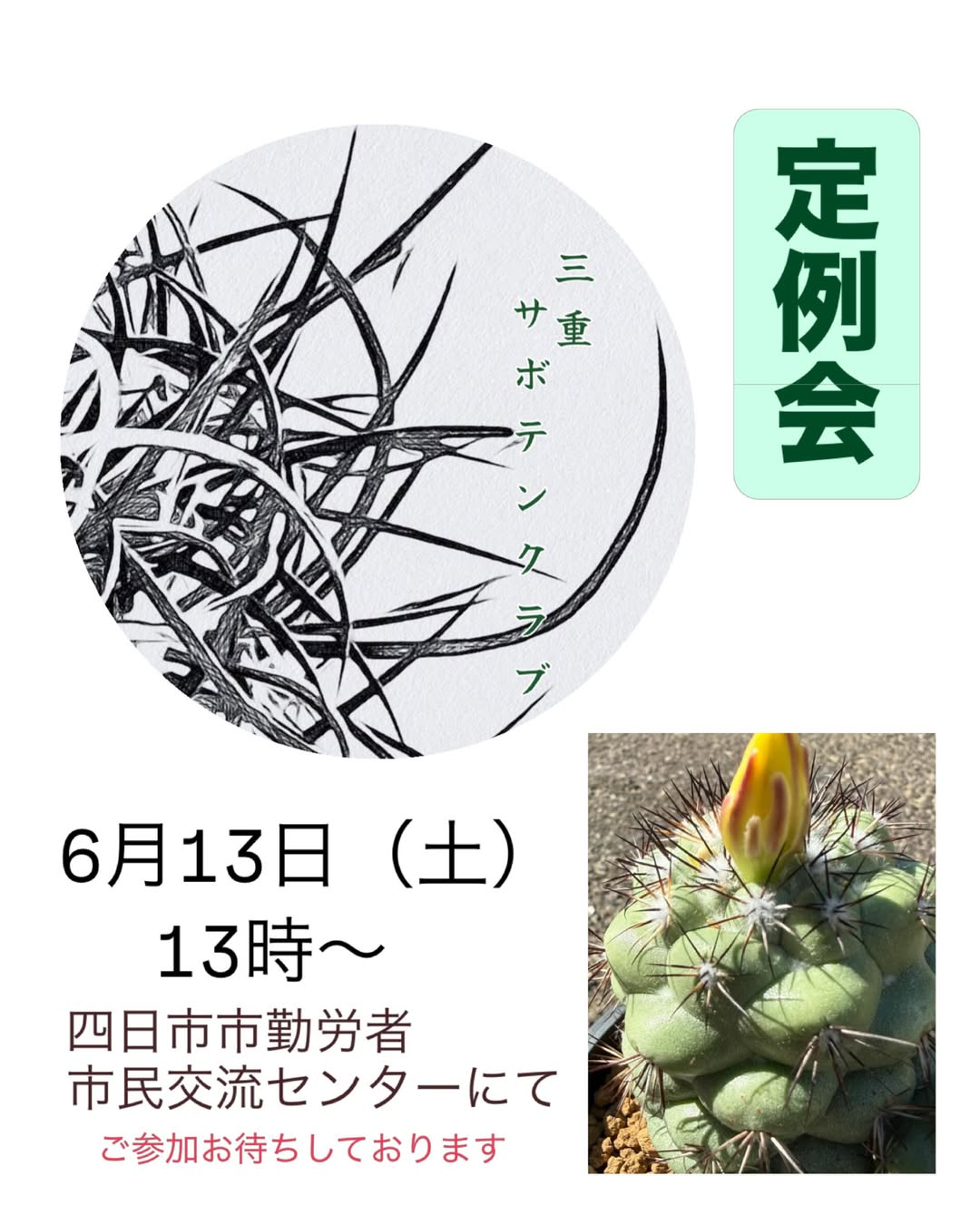 三重サボテンクラブ定例会2026が四日市で開催、サボテンと多肉植物の