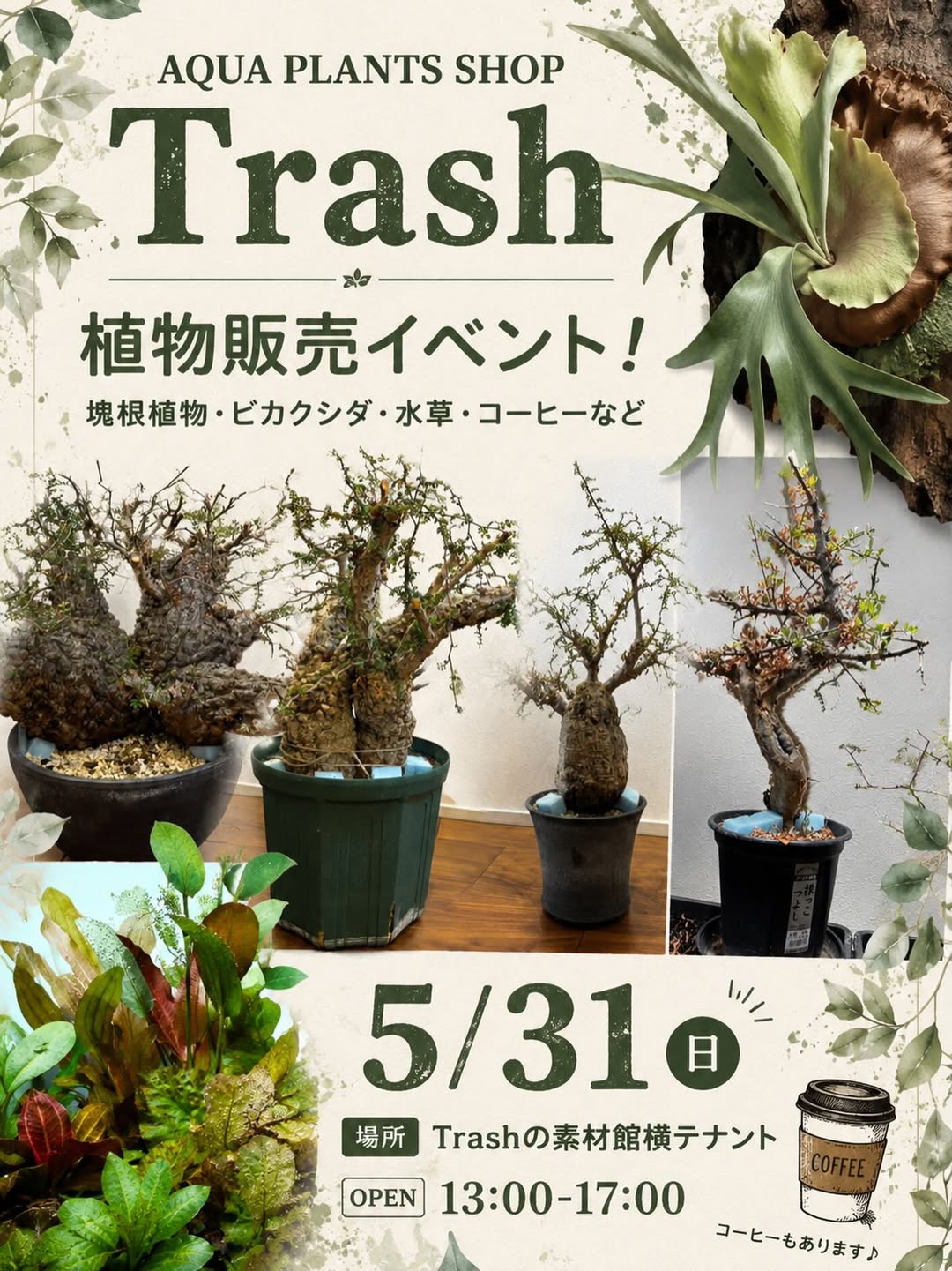 AQUAPLANTSSHOPTrash2026が前橋で開催、塊根植物とビカクシダと水草を