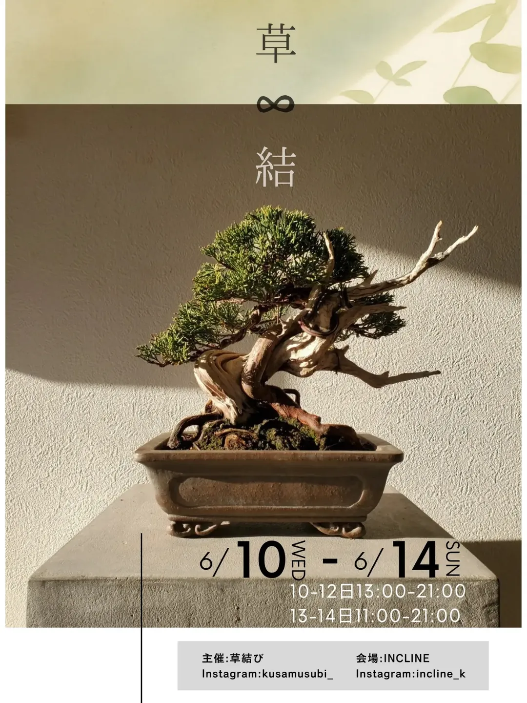 草結が2026年に宝塚市INCLINEで開催、植物と盆栽を次の世代へ繋ぐ展示