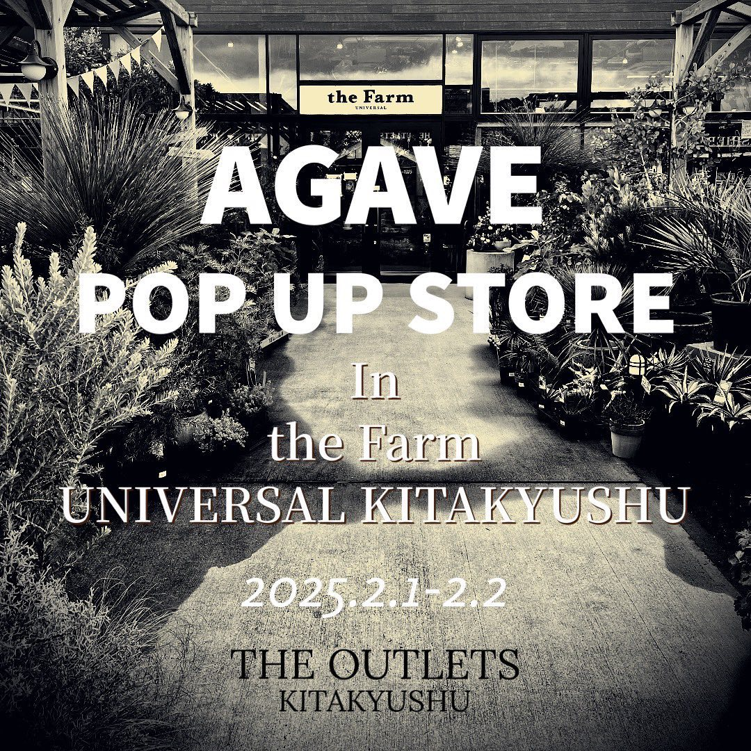 the Farm UNIVERSAL KITAKYUSHUでアガベポップアップストアを開催、専門店による展示販売で植物愛好家に向けた特別な空間を提供