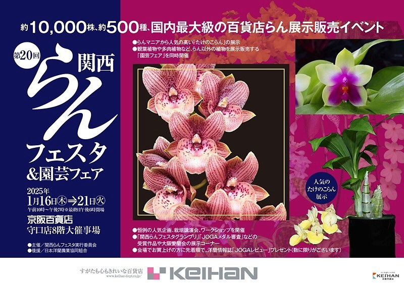 京阪百貨店守口店が第20回関西らんフェスタを開催、15店舗の専門店が集結し多彩な植物を展示販売へ