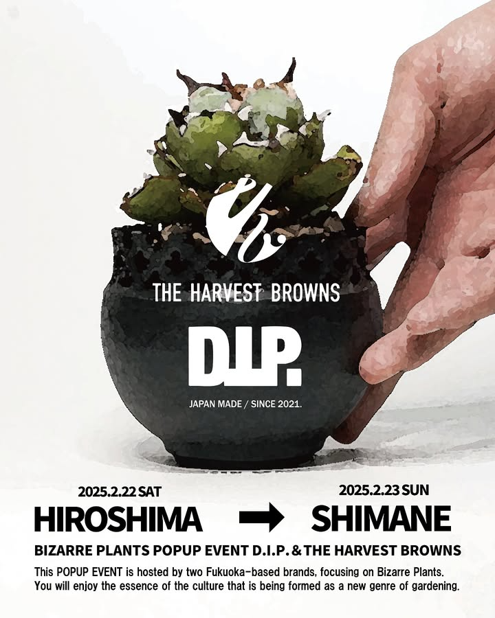 D.I.P.とTHE HARVEST BROWNSが広島・島根で特別POPUPを開催、アガベと D.I.P.とTHE HARVEST BROWNSが広島・島根で特別POPUPを開催、アガベと