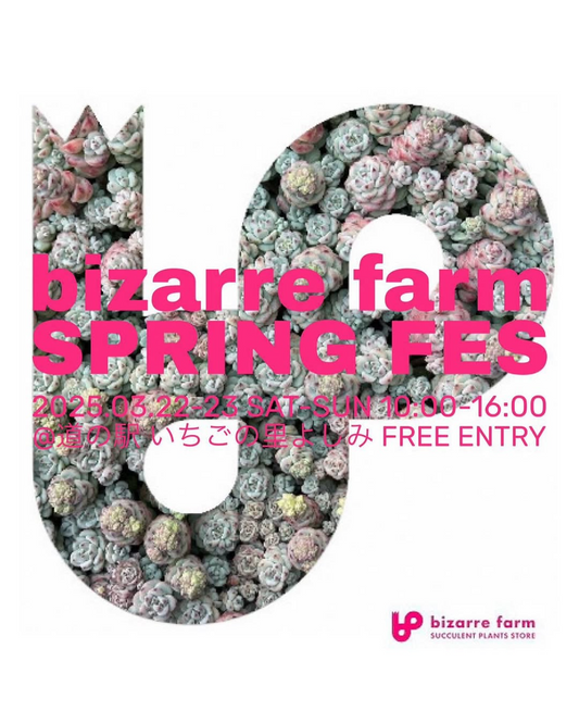 bizarrefarmSPRING FESが埼玉県で開催、50店舗以上の植物専門店が集結し多肉植物やアガベの販売を実施
