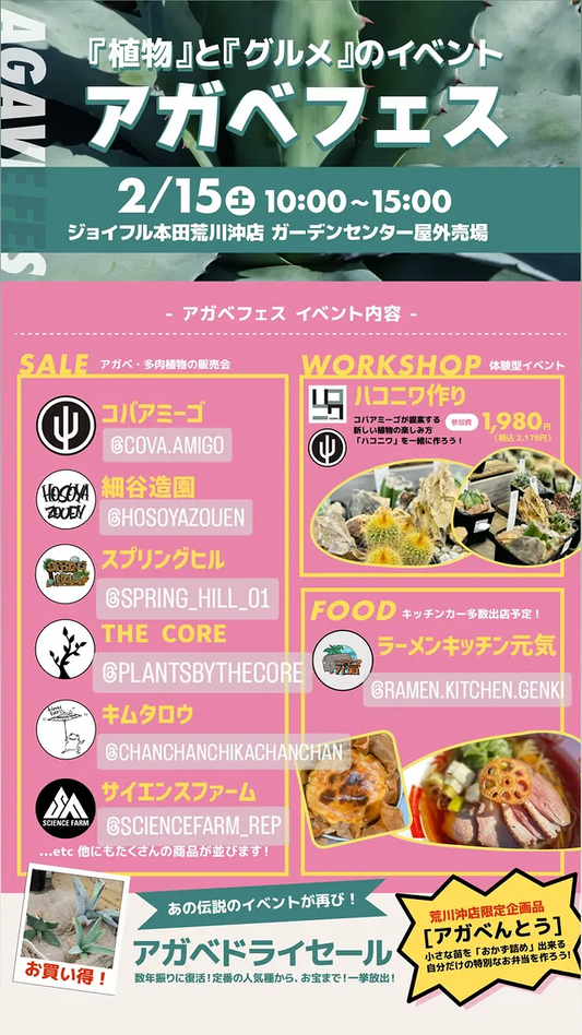 ジョイフル本田荒川沖店がアガベフェスを開催、人気ショップ6店舗が集結し植物販売とワークショップを実施