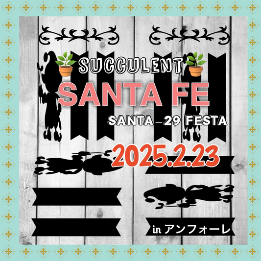 SANTA FE周年祭が愛知県安城市で開催、アンフォーレ願いごと広場で多肉植物の展示販売を実施