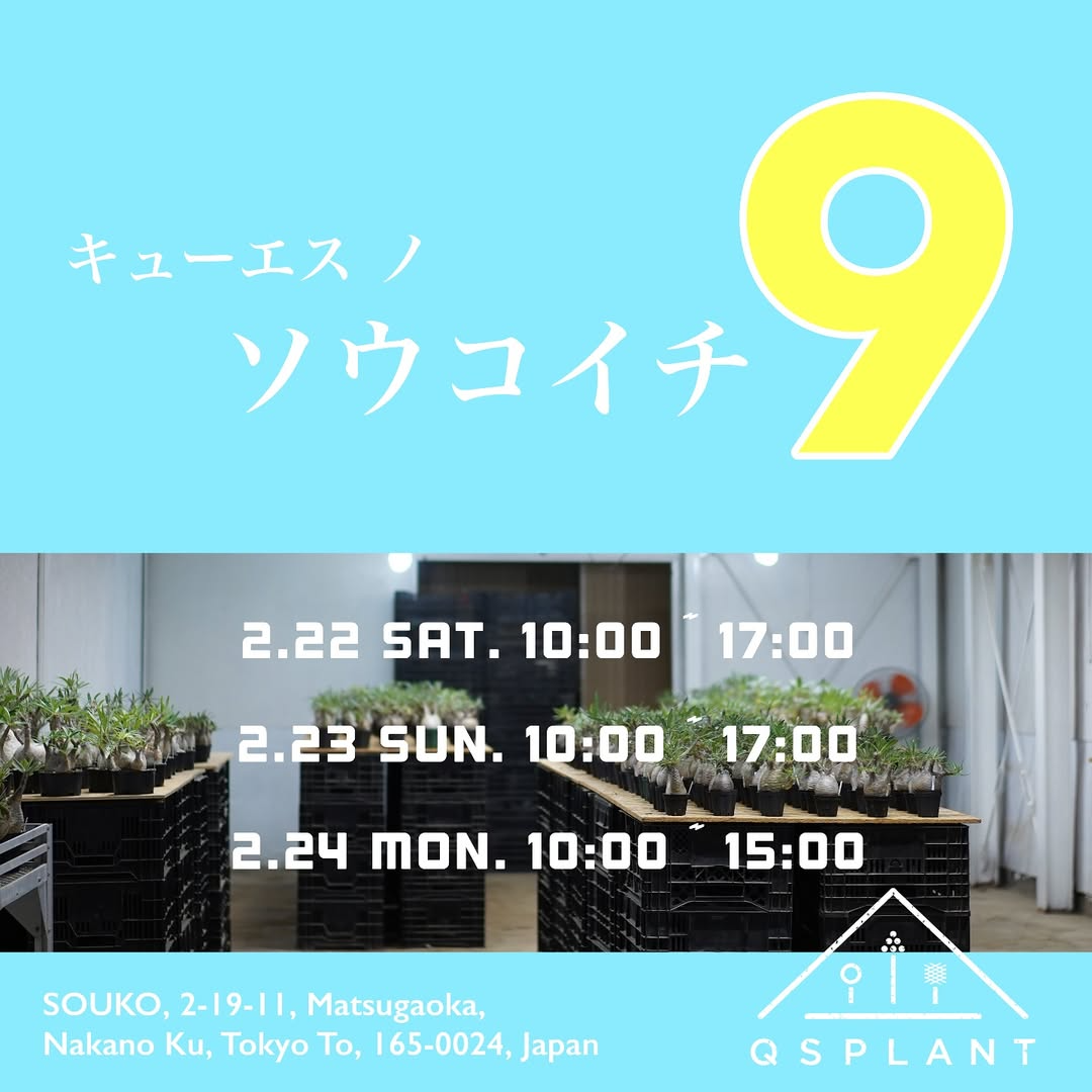soukoがキューエスノソウコイチ9を開催、発根済み株の販売と複数購入割引で植物愛好家のニーズに対応