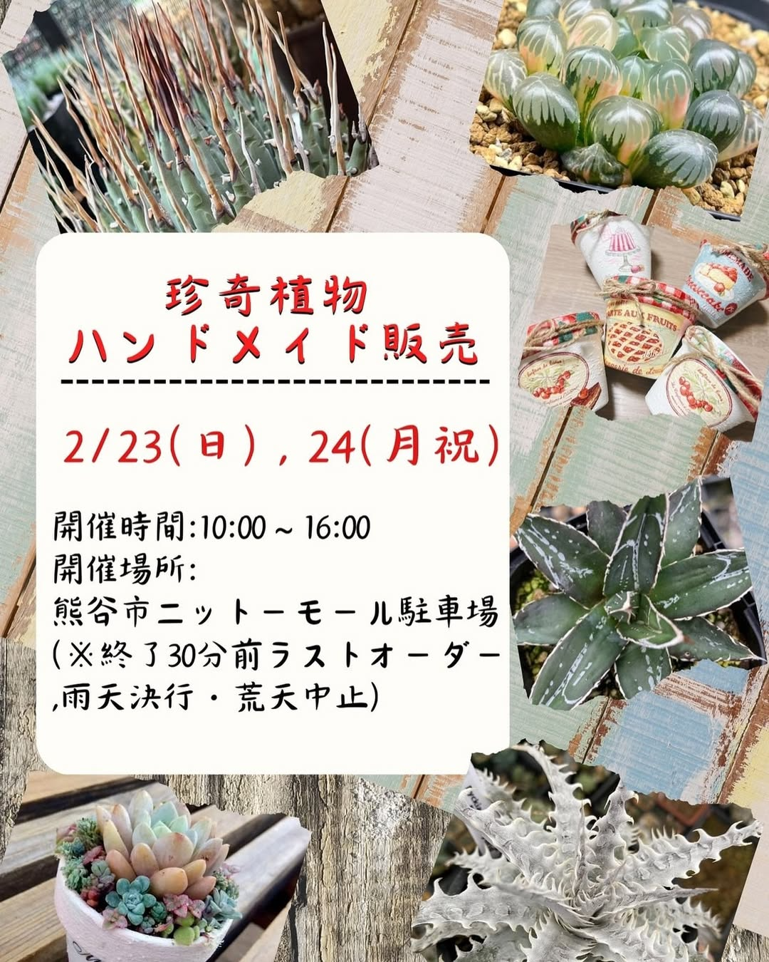 nisitokyo plantsが熊谷で珍奇植物販売会を開催、キッチンカーイベントとの同時開催で集客力を強化