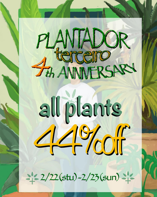PLANTADOR terceiroが4周年セールを開催、全植物44%オフとガチャ企画で来場者に特別な購入機会を提供