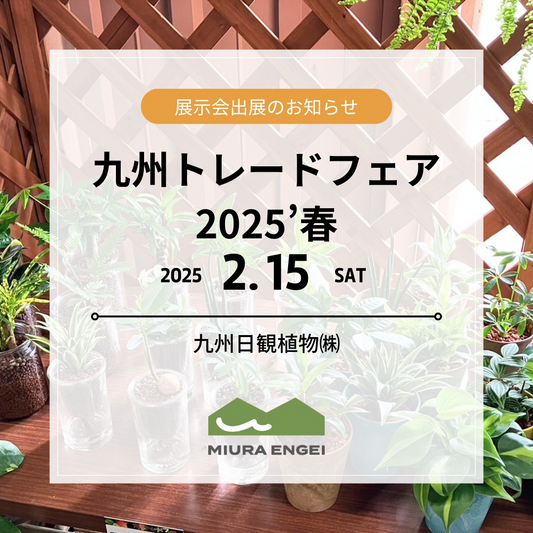 三浦園芸が九州トレードフェア2025春に出展、ビビシリーズとウォータリウム商品のラインナップを専門業者向けに展開
