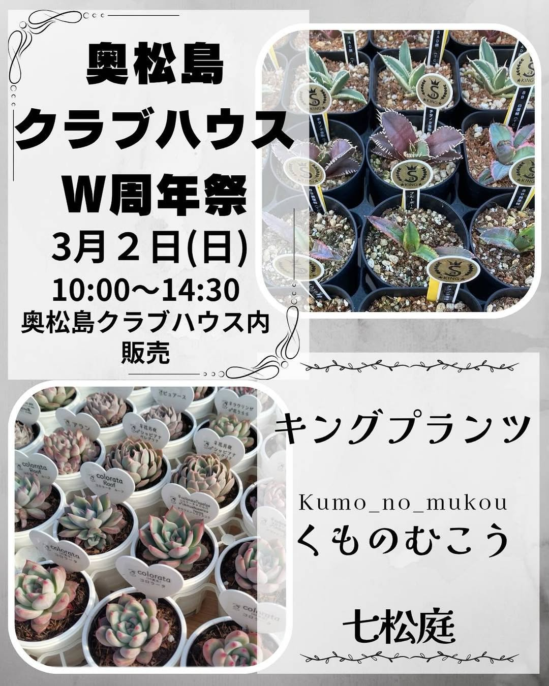 奥松島クラブハウスがW周年祭を開催、盆栽とエケベリア、アガベの専門店が集結し多彩な展示販売を展開