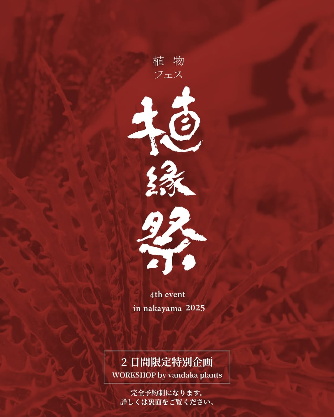 NAKAYAMA FLOWER HOUSEが植縁祭を愛媛で初開催、ビカクシダ板付け NAKAYAMA FLOWER HOUSEが植縁祭を愛媛で初開催、ビカクシダ板付け