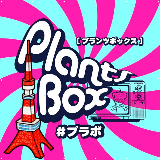 プランツボックスが久屋大通公園で多肉植物の販売イベントを開催、16店舗の専門店が集結し植物愛好家の期待高まる