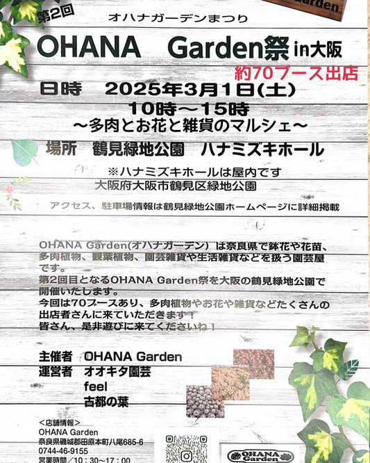 オハナガーデンが第2回OHANA Garden祭を大阪で開催、多肉スタイリングワークショップと飲食ブースで新展開