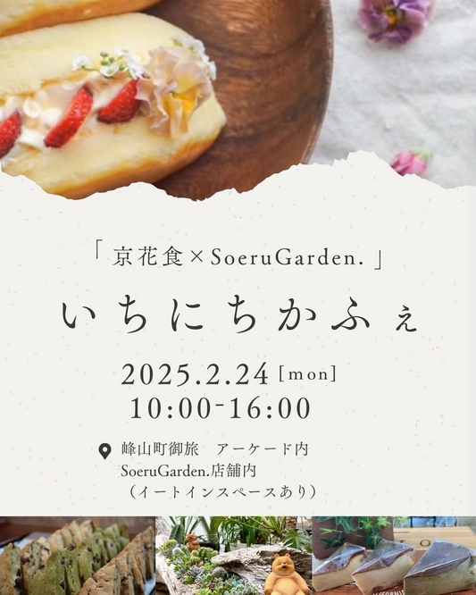 ソエルガーデンが京花食とのコラボカフェを開催、有機栽培食材を使用した特別メニューを提供へ