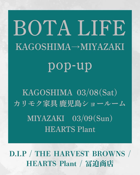 THE HARVEST BROWNSがAgave植物の鹿児島・宮崎ポップアップイベントを開催、カリモク家具ショールームでの初開催と複数店舗の合同出展