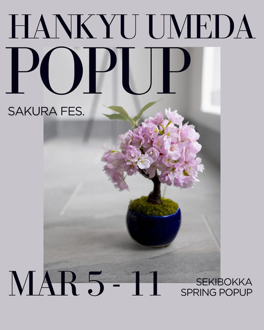 石木花が阪急うめだ本店で桜テーマのPOPUPを開催、小さな器の中に春の訪れを表現