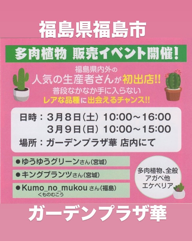 福島県ガーデンプラザ華が多肉植物販売イベントを開催、アガベから特製鉢まで春の植え替えシーズンを完全サポート