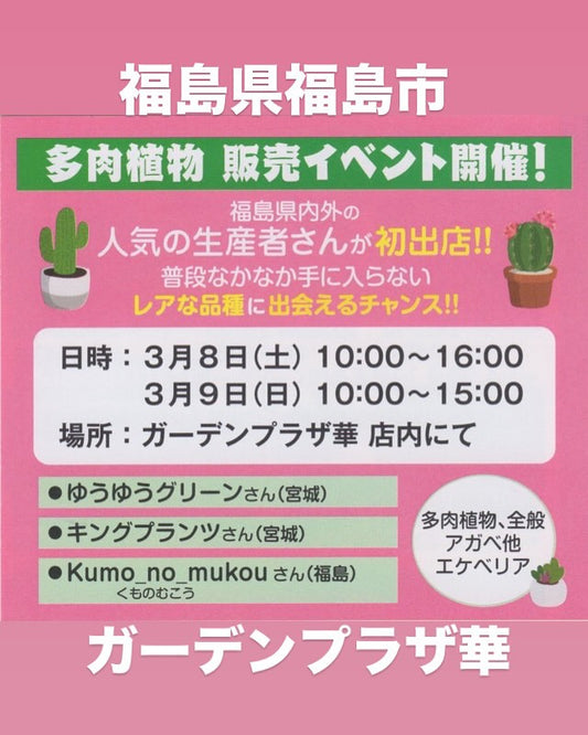 福島県ガーデンプラザ華が多肉植物販売イベントを開催、アガベから特製鉢まで春の植え替えシーズンを完全サポート
