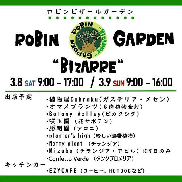 京都府長岡京市でロビンビザールガーデンが開催、専門店9店舗が多彩な植物を集結させる植物イベントが誕生