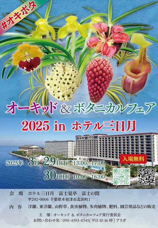 オーキッド&ボタニカルフェア2025が千葉県木更津市で開催、22社の植物専門業者が集結し多様な希少植物を販売