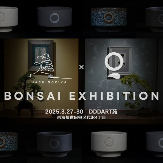 鉢乃木屋とQUTOTEN.が特別展示販売を開催、盆栽と伝統工芸の融合で日常に新たな価値を提案