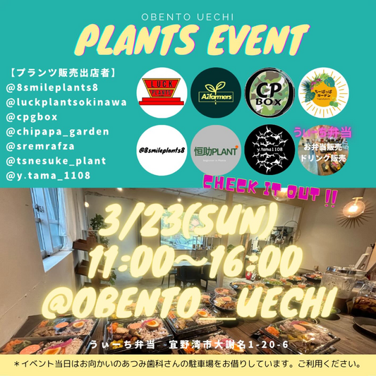 沖縄宜野湾市でOVENTO UECHI PLANTS EVENTが開催決定、珍しい植物の販売イベントに注目が集まる